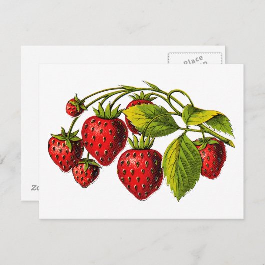 Fresh Erdbeeren Postkarte (Vorne/Hinten)