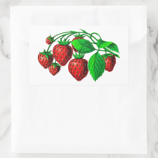 Fresh Erdbeeren Rechteckiger Aufkleber (Tasche)