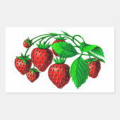 Fresh Erdbeeren Rechteckiger Aufkleber (Vorderseite)