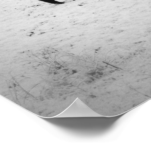 Fresh Fallen Snow at the Horch Poster (Ecke)