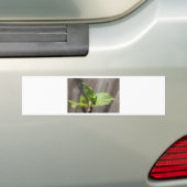 Fresh Fig Leaf Autoaufkleber (Auf Auto)