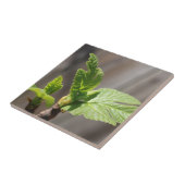 Fresh Fig Leaf Fliese (Seite)