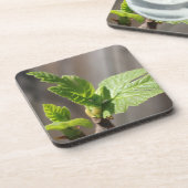 Fresh Fig Leaf Getränkeuntersetzer (Linke Seite)
