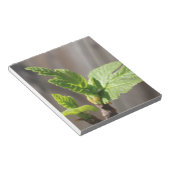 Fresh Fig Leaf Notizblock (angewinkelt)