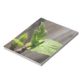 Fresh Fig Leaf Notizblock (Rotiert)
