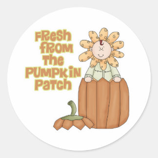 Fresh From Pumpkin Patch Baby Ankündigung Runder Aufkleber
