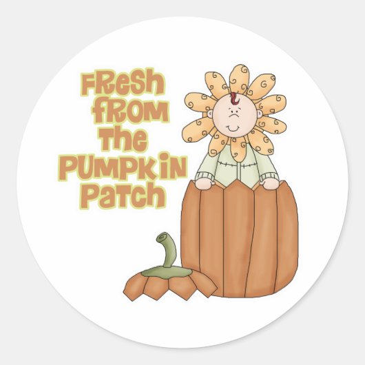 Fresh From Pumpkin Patch Baby Ankündigung Runder Aufkleber (Vorderseite)