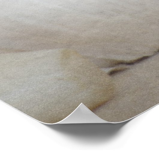 Fresh Garlic Poster (Ecke)