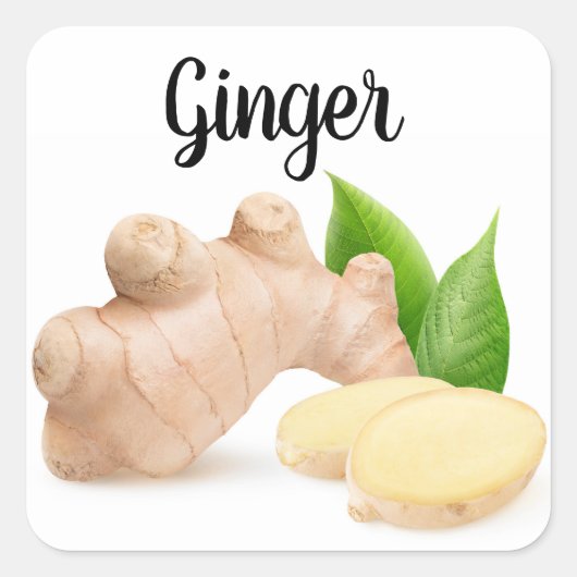 Fresh Ginger Quadratischer Aufkleber (Vorderseite)