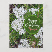Fresh Green and White Blume Happy Birthday Mama Postkarte (Vorderseite)