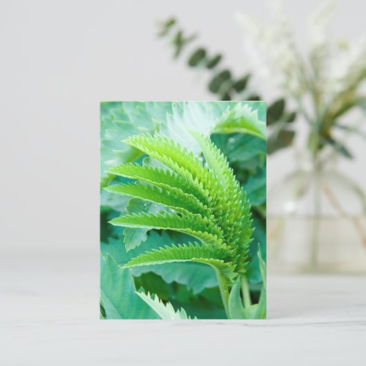 Fresh Green Blätter Postkarte (Stehend Vorderseite)
