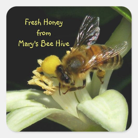Fresh Honey Bee Hive Square Labels Quadratischer Aufkleber (Vorderseite)