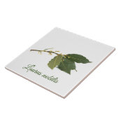 Fresh laurel Blätter Fliese (Seite)