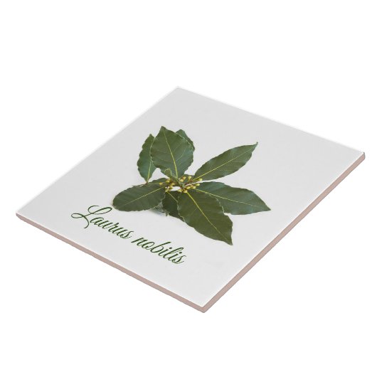 Fresh laurel Blätter Fliese (Seite)