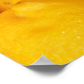 Fresh Lemons Poster (Ecke)