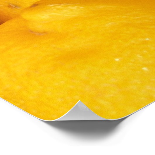 Fresh Lemons Poster (Ecke)