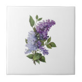 Fresh Lilacs - Französische Wohngestaltung Fliese (Vorderseite)