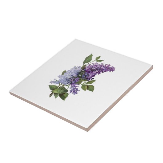 Fresh Lilacs - Französische Wohngestaltung Fliese (Seite)