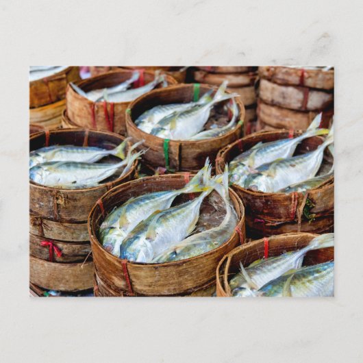 Fresh Mackerel Postkarte (Vorderseite)