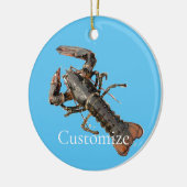 Fresh Maine Hummer Thunder_Cove Keramik Ornament (Links)