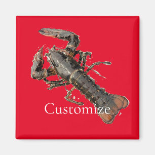 Fresh Maine Hummer Thunder_Cove Magnet