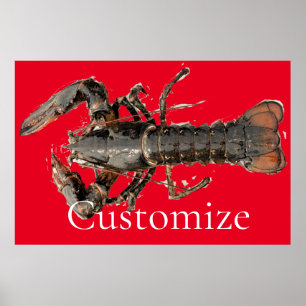 Fresh Maine Hummer Thunder_Cove Poster