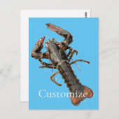 Fresh Maine Hummer Thunder_Cove Postkarte (Vorne/Hinten)