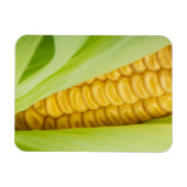 Fresh Mais Magnet (Horizontal)