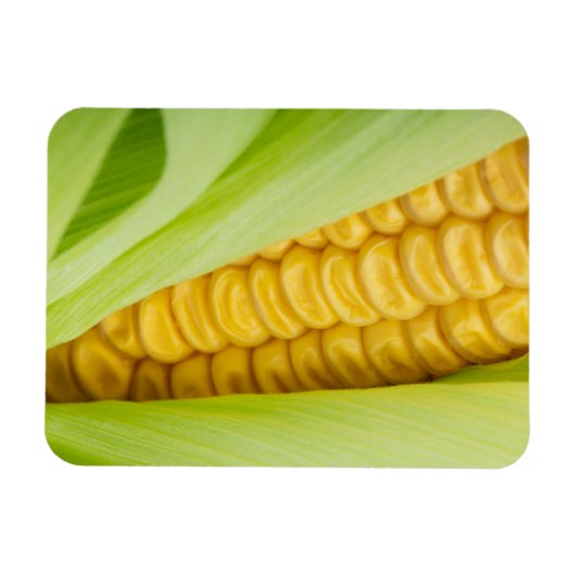 Fresh Mais Magnet (Horizontal)