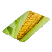 Fresh Mais Magnet (Linke Seite)