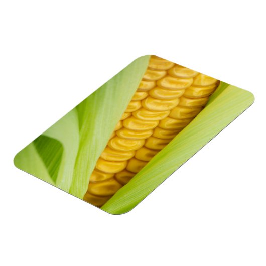 Fresh Mais Magnet (Linke Seite)