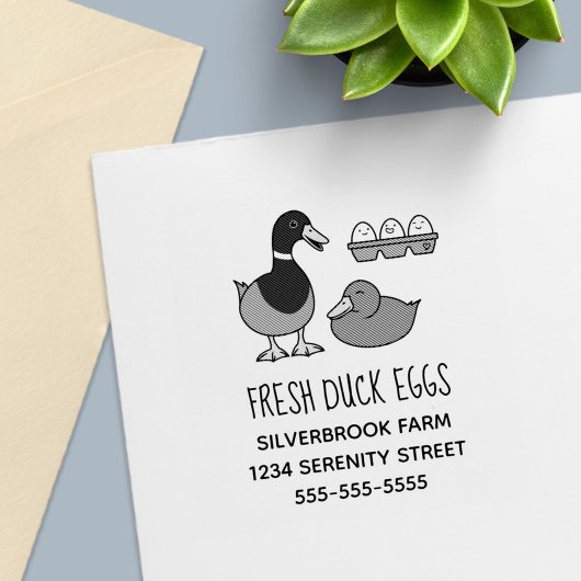 Fresh Mallard Duck Eggs Farm Address Permastempel