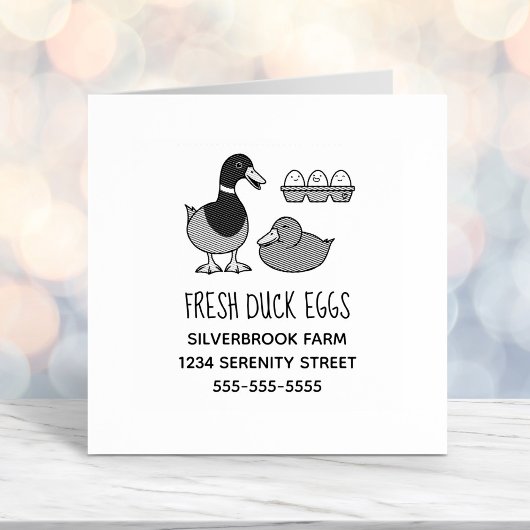 Fresh Mallard Duck Eggs Farm Address Permastempel