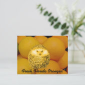 Fresh Orange Igel Postkarte (Stehend Vorderseite)
