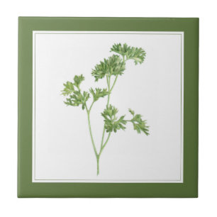 FRESH PARSLEY 4.25x4.25 Keramik Tile (-text) Grün Fliese