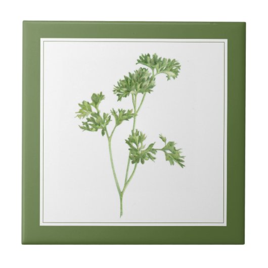 FRESH PARSLEY 4.25x4.25 Keramik Tile (-text) Grün Fliese (Vorderseite)