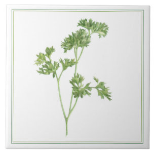 FRESH PARSLEY 6x6 Keramik Tile (-text) Fliese