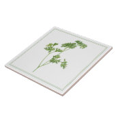 FRESH PARSLEY 6x6 Keramik Tile (-text) Fliese (Seite)