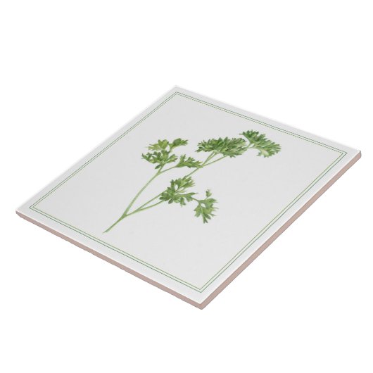 FRESH PARSLEY 6x6 Keramik Tile (-text) Fliese (Seite)