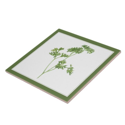 FRESH PARSLEY 6x6 Keramik Tile (-text) Grün Fliese (Seite)