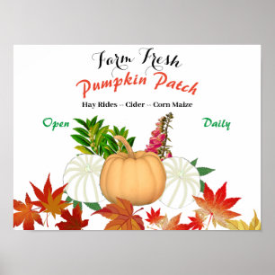 Fresh Pumpkin Patch Herbst Ernte Bauernhof Poster