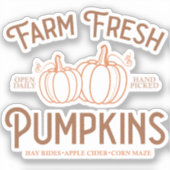 Fresh Pumpkins Fall Aufkleber (Vorderseite)
