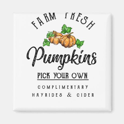 Fresh Pumpkins Fall Halloween Retro Magnet (Vorne)