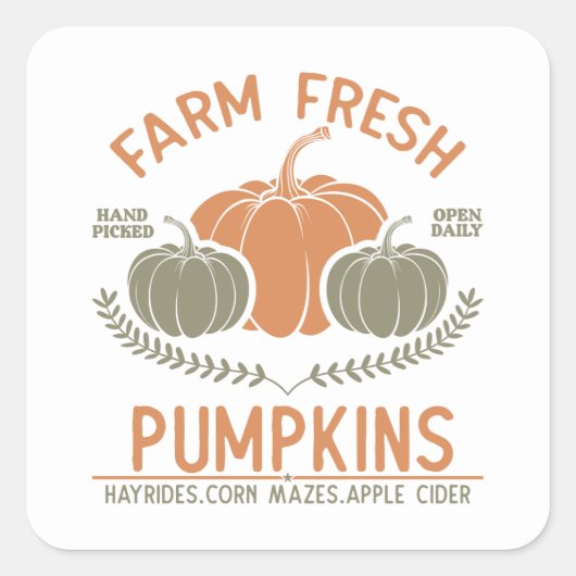 Fresh Pumpkins | Hand Pickup Quadratischer Aufkleber (Vorderseite)