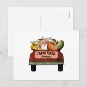 Fresh Pumpkins Postkarte (Vorne/Hinten)