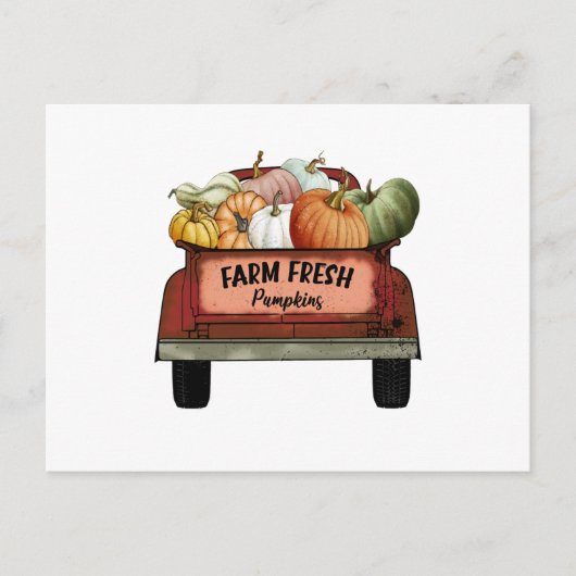 Fresh Pumpkins Postkarte (Vorderseite)
