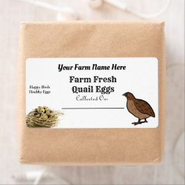 Fresh Quail Eggs White Carton