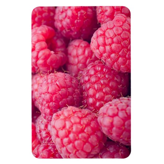 Fresh raspberries magnet (Vertikal)