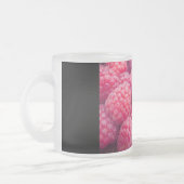 Fresh raspberries mattglastasse (Links)