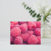 Fresh raspberries postkarte (Stehend Vorderseite)